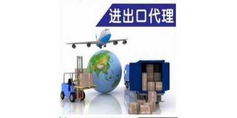 进出口业务服务 连接全球市场的桥梁与引擎
